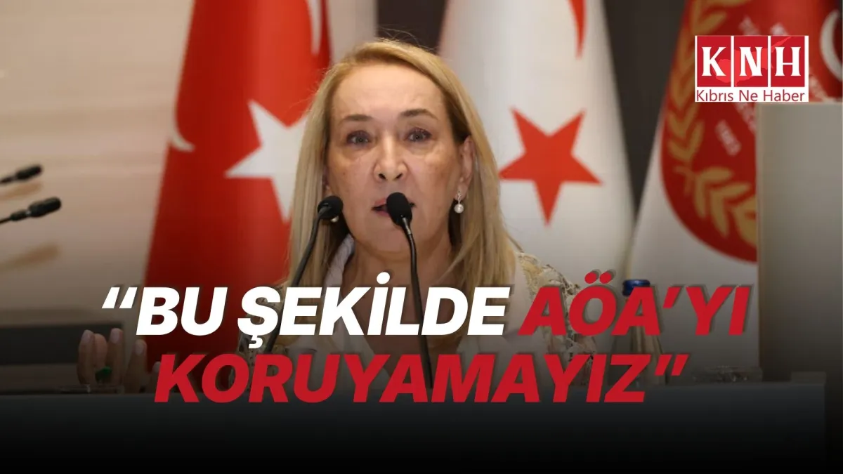 Besim: "Cumhurbaşkanının iade gerekçeleri dikkate alınmadı"