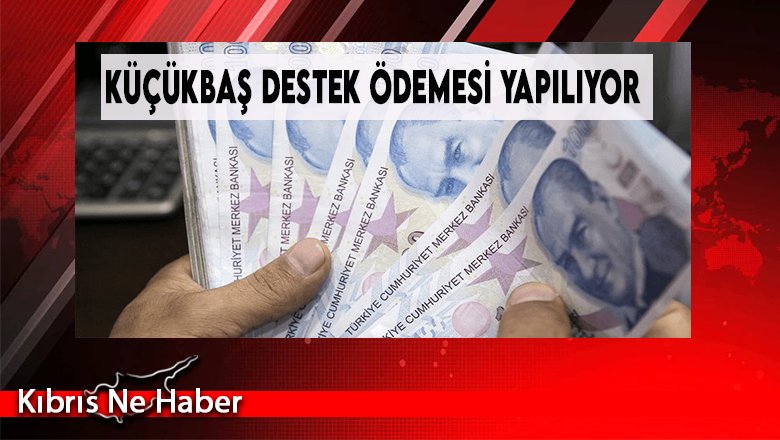 Küçükbaş Destek Ödemesi Yapılıyor