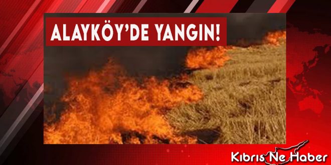 Alayköy’de Yangın!