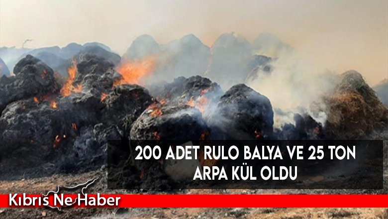 200 adet rulo balya ve 25 ton arpa kül oldu