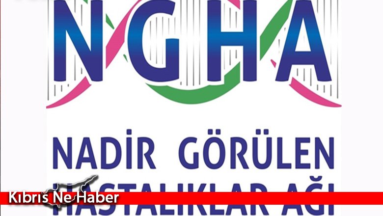 Nadir görülen hastalıklar ağı oluşturuluyor