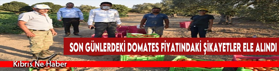 Son Günlerdeki Domates Fiyatındaki Şikayetler Ele Alındı
