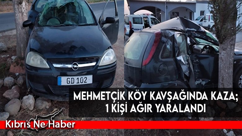 Yoldan çıkıp, ağaca çarparak durabildi!
