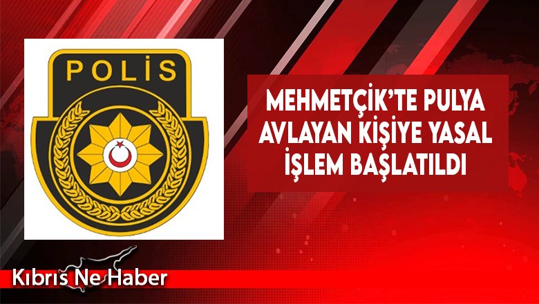 Mehmetçik’te Pulya Avlayan Kişiye Yasal İşlem Başlatıldı