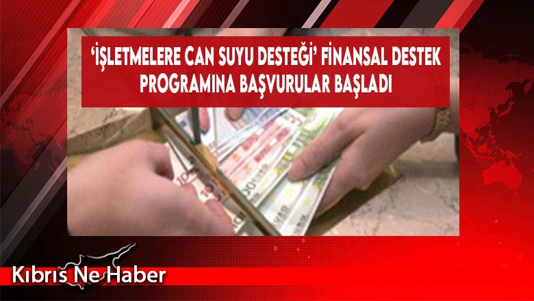 ‘İşletmelere Can Suyu Desteği’ Finansal Destek Programına Başvurular Başladı