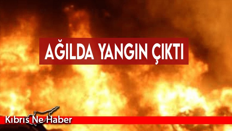 Ağılda yangın çıktı