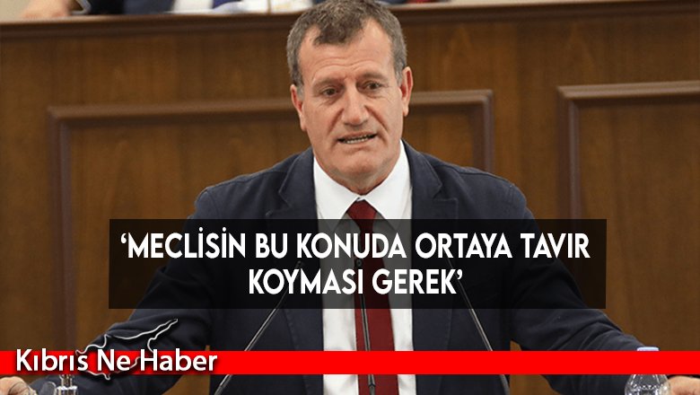 ‘Meclisin bu konuda ortaya tavır koyması gerek’