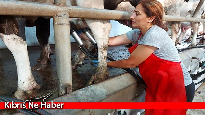 Kıbrıs Türk Çiftçiler Birliği Genel Başkanı Kelle, 15 Ekim Dünya Kadın Çiftçiler Günü dolayısıyla mesaj yayımladı
