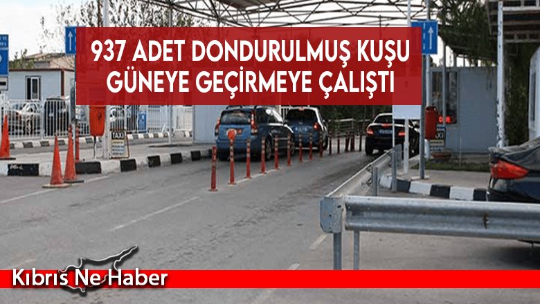937 adet dondurulmuş kuşu güneye geçirmeye çalıştı