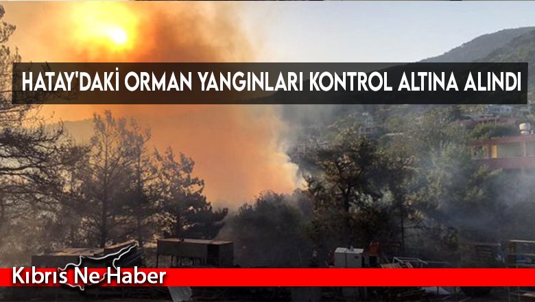 Hatay'daki orman yangınları kontrol altına alındı