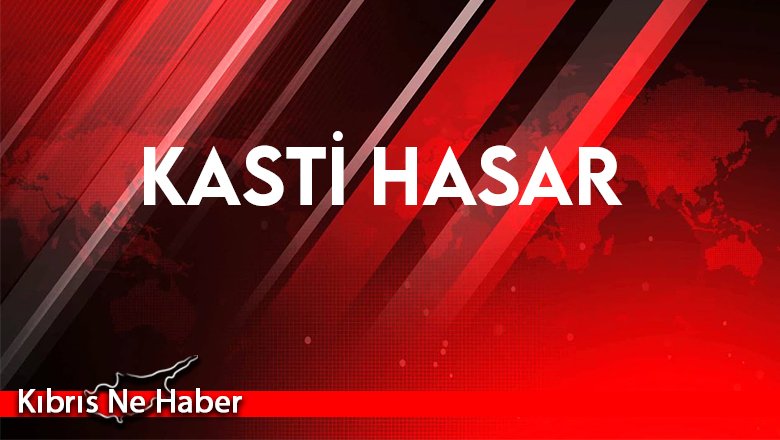 Park halinde bulunan araç kundaklandı
