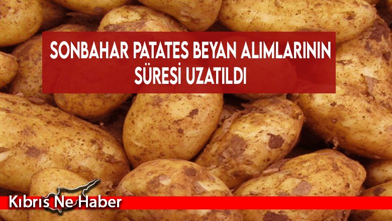 Sonbahar patates beyan alımlarının süresi uzatıldı