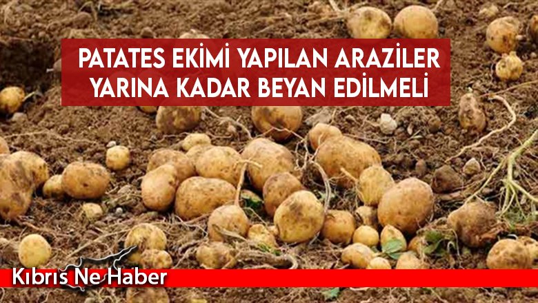 Patates ekimi yapılan araziler yarına kadar beyan edilmeli