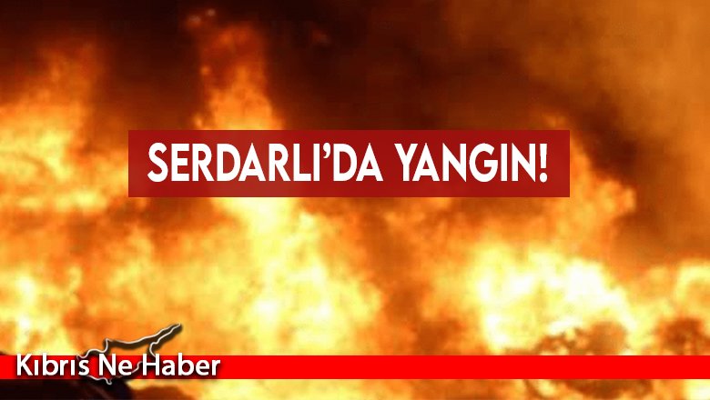 Serdarlı’da yangın!