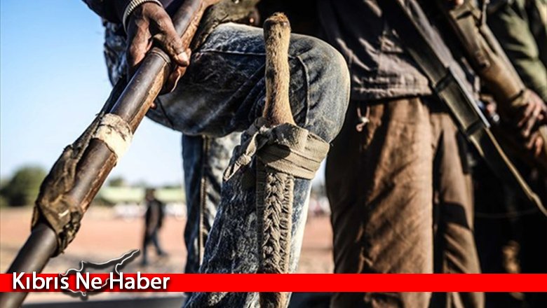 Nijerya'da 3 ayda 869 silahlı çete üyesi etkisiz hale getirildi