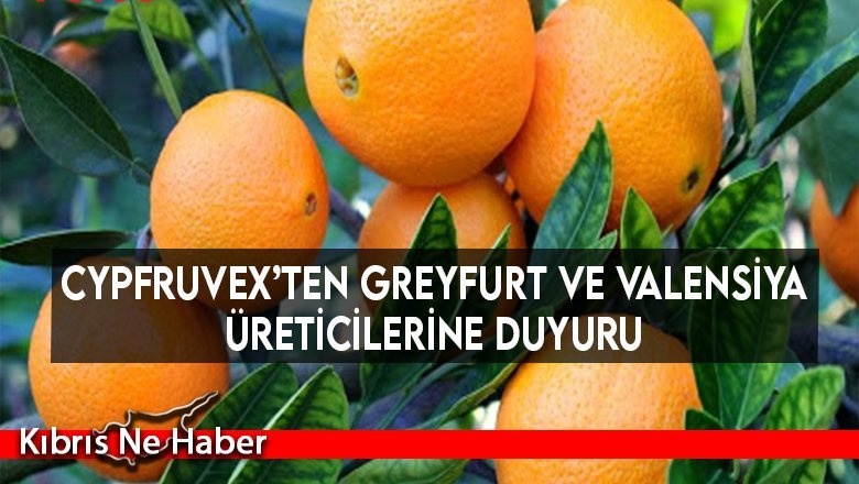 Cypfruvex’ten greyfurt ve valensiya üreticilerine duyuru