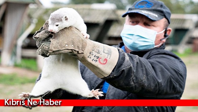 5 ülkede daha vizonlarda Kovid-19’a rastlandı