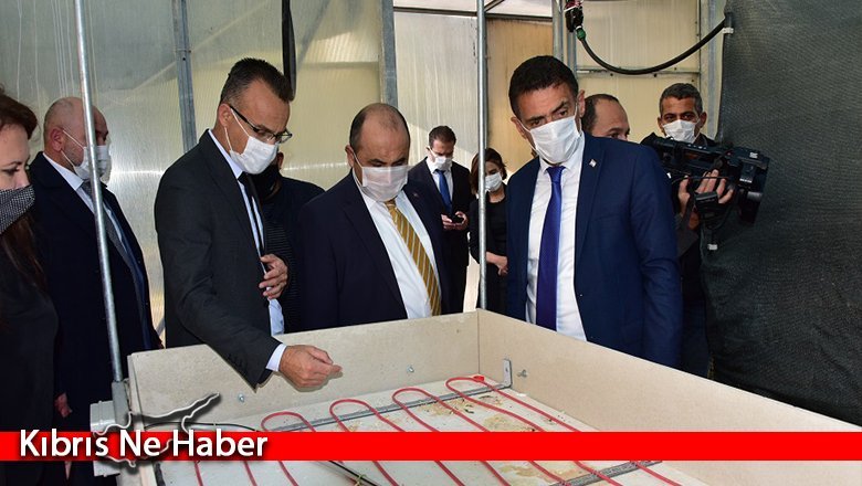 Köklendirme kapasitesi 70 binden 300 bine çıkarıldı