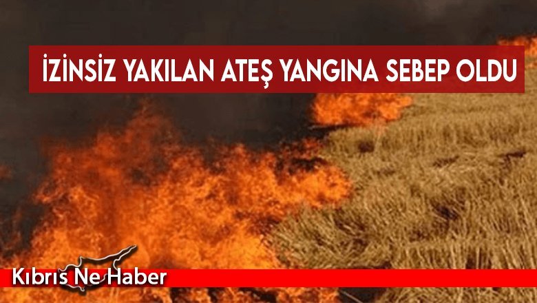 İzinsiz yakılan ateş yangına sebep oldu