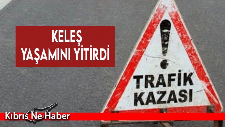 Trafik kazasında ağır yaralanan Keleş yaşamını yitirdi
