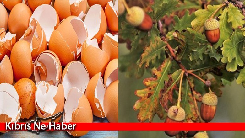 YDÜ’nün projesine TÜBİTAK’tan destek