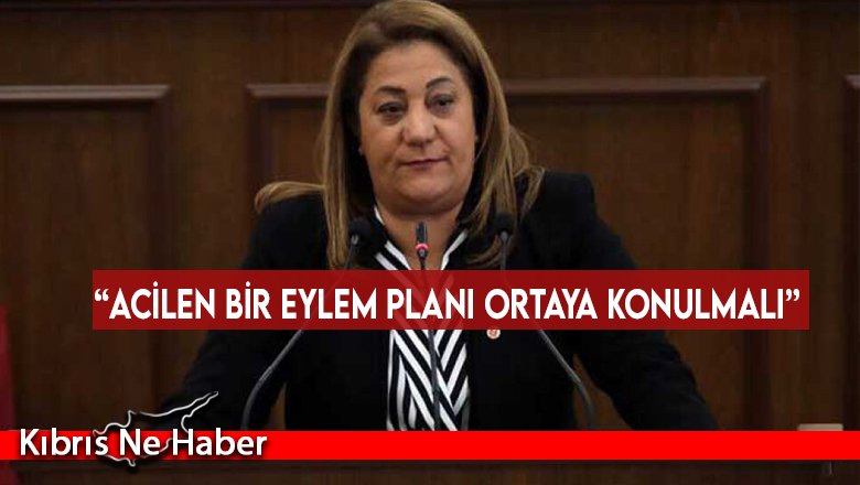 “Acilen bir eylem planı ortaya konulmalı”