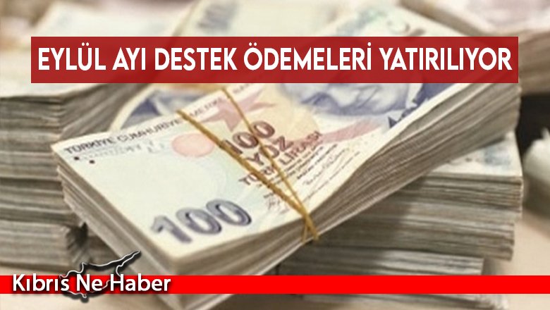 Eylül ayı destek ödemeleri yatırılıyor