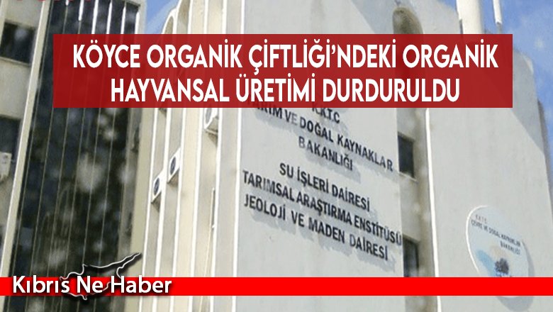 Köyce Organik Çiftliği’ndeki organik hayvansal üretimi durduruldu