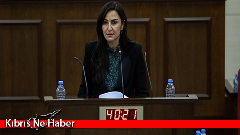 “Uygulanmayacak bir program”