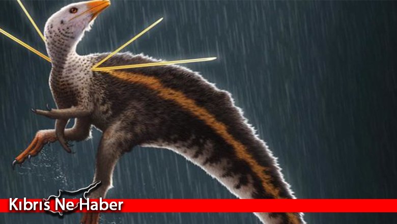 Yeni bir dinozor türü keşfedildi