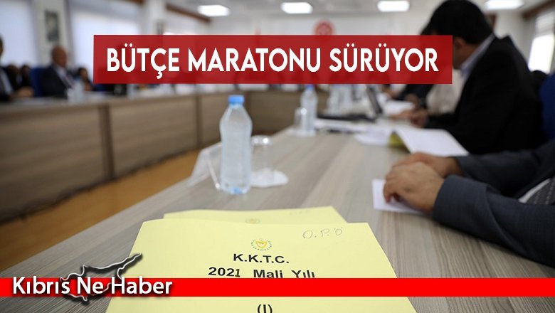 Bütçe maratonu sürüyor