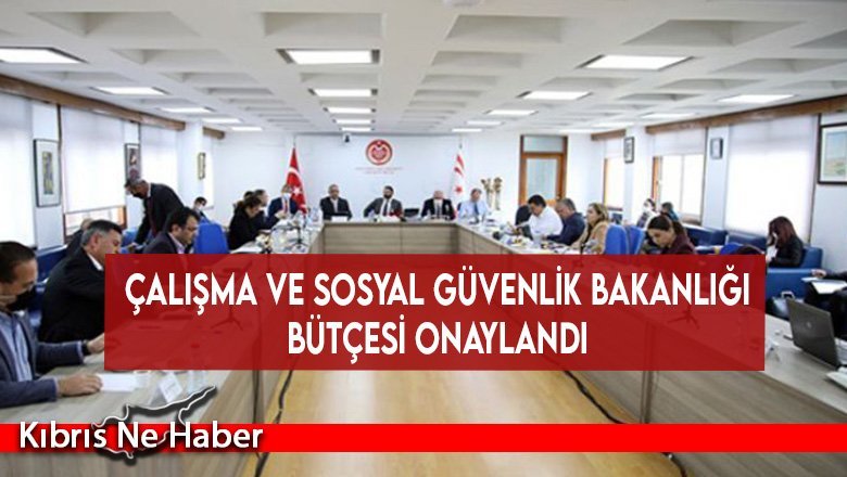 Çalışma ve Sosyal Güvenlik Bakanlığı bütçesi onaylandı