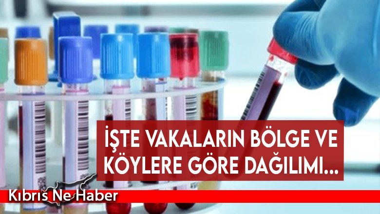 İşte vakaların bölge ve köylere göre dağılımı...