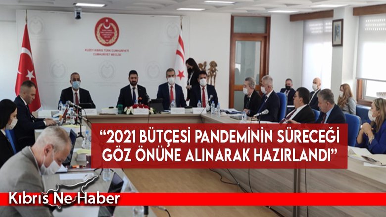“2021 bütçesi pandeminin süreceği göz önüne alınarak hazırlandı”