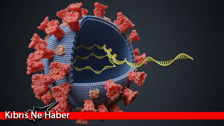 Mutasyonlu corona virüse yakalananlarda en yaygın görülen semptomlar açıklandı
