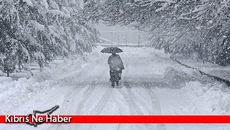 Japonya’da yoğun kar yağışı nedeniyle ölü sayısı 29'a çıktı