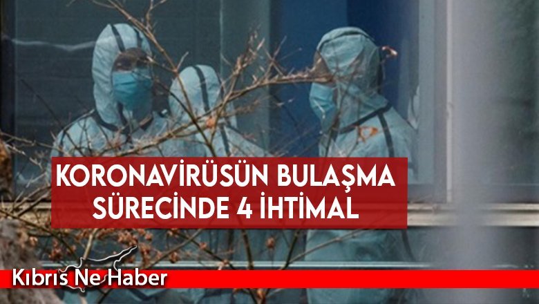 DSÖ Sözcüsü Jasarevic açıkladı: Koronavirüsün bulaşma sürecinde 4 ihtimal