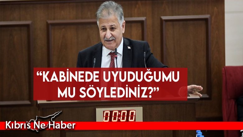 Ali Pilli, Başbakan’a sordu: “Kabinede uyuduğumu mu söylediniz?”