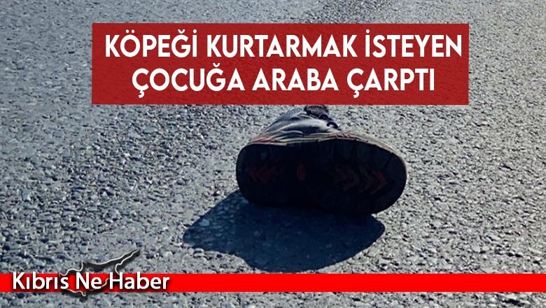 Köpeği kurtarmak isteyen çocuğa araba çarptı