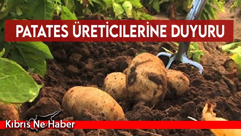 Patates Üreticilerine Duyuru