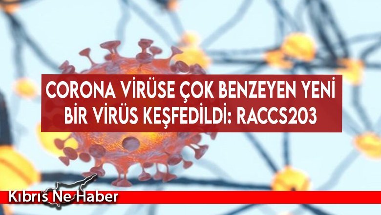 Corona virüse çok benzeyen yeni bir virüs keşfedildi: RacCS203