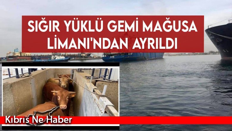 Sığır Yüklü Gemi Mağusa Limanı'ndan Ayrıldı