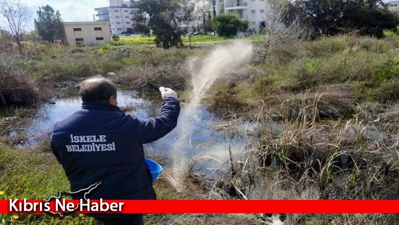 İskele'de larva üreme alanları ile rögarlar ilaçlanıyor
