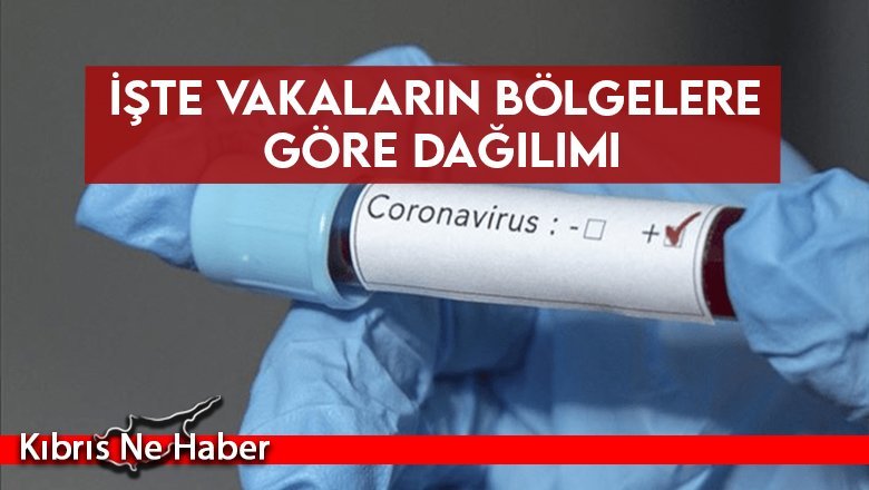 İşte vakaların bölgelere göre dağılımı