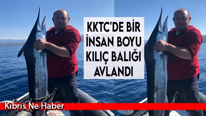 KKTC'de Bir İnsan Boyu  Kılıç Balığı Avlandı