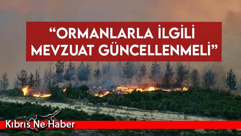 Orman Mühendisleri Odası Başkanı Ahmet İyigün: “Ormanlarla ilgili mevzuat güncellenmeli”