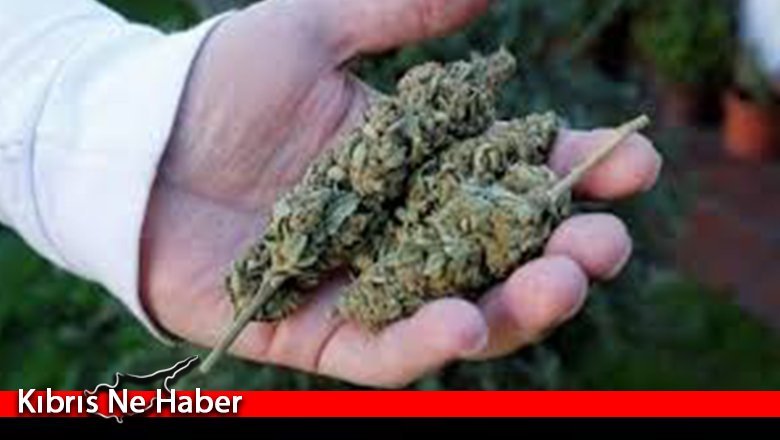 Larnaka’da 1 kilo hintkeneviri ele geçirildi