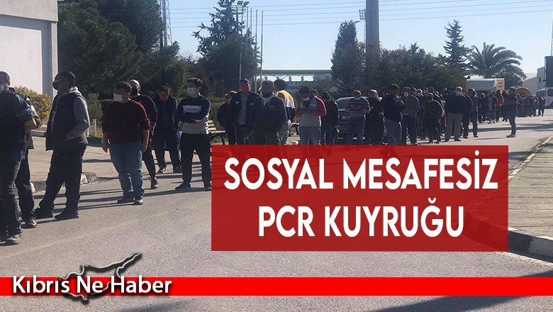 Lefkoşa Fuar Alanı'nda PCR kuyruğu