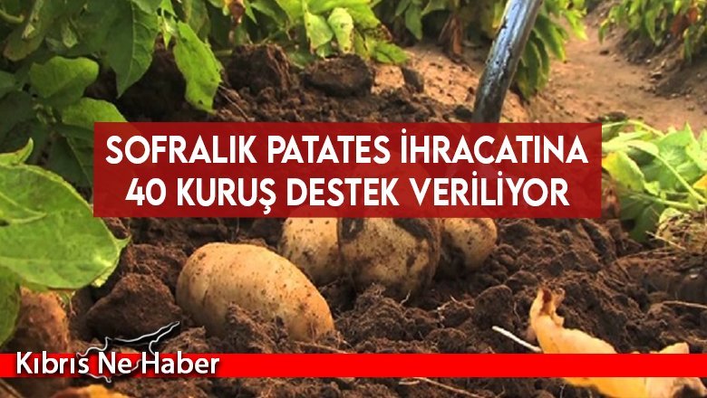 Sofralık patates ihracatına 40 kuruş destek veriliyor