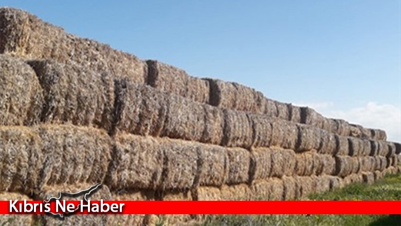 İhtiyaçlı Üreticilere Arpa Sap Balası Satışına Başlandı